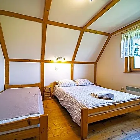 Z Dusza *